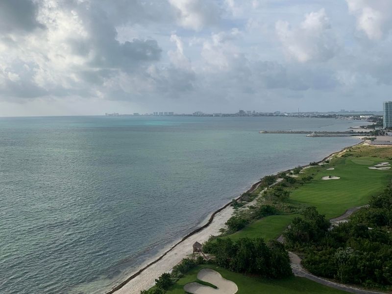 coastal city, grass and trees