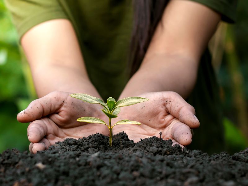 woman tending to small plant